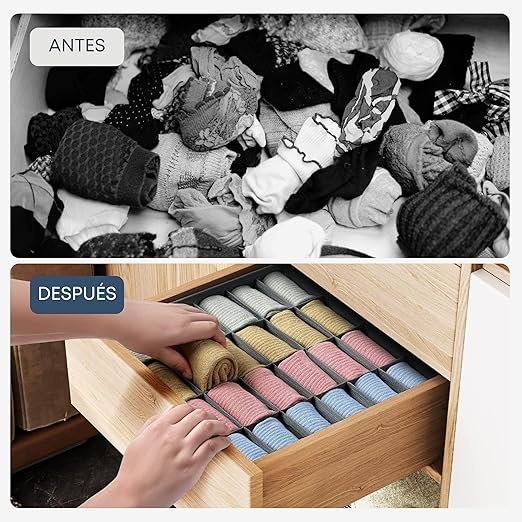 NeatBox™ LLEVA 2 PAGAS 1 / ORGANIZADOR DE ROPA INTERIOR DE 24 COMPARTIMENTOS