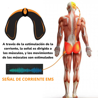 GluteFit Max™ TONIFICADOR DE GLUTEOS